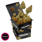 Pack Decouverte Okiweed THV+