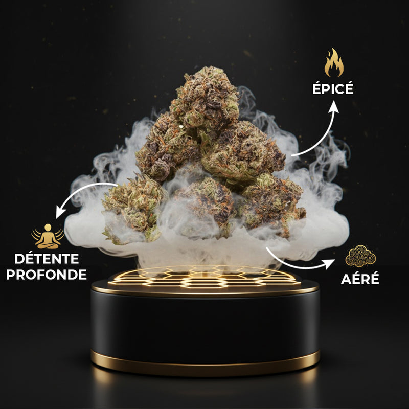 Pop Corn Gorilla Glue THV+