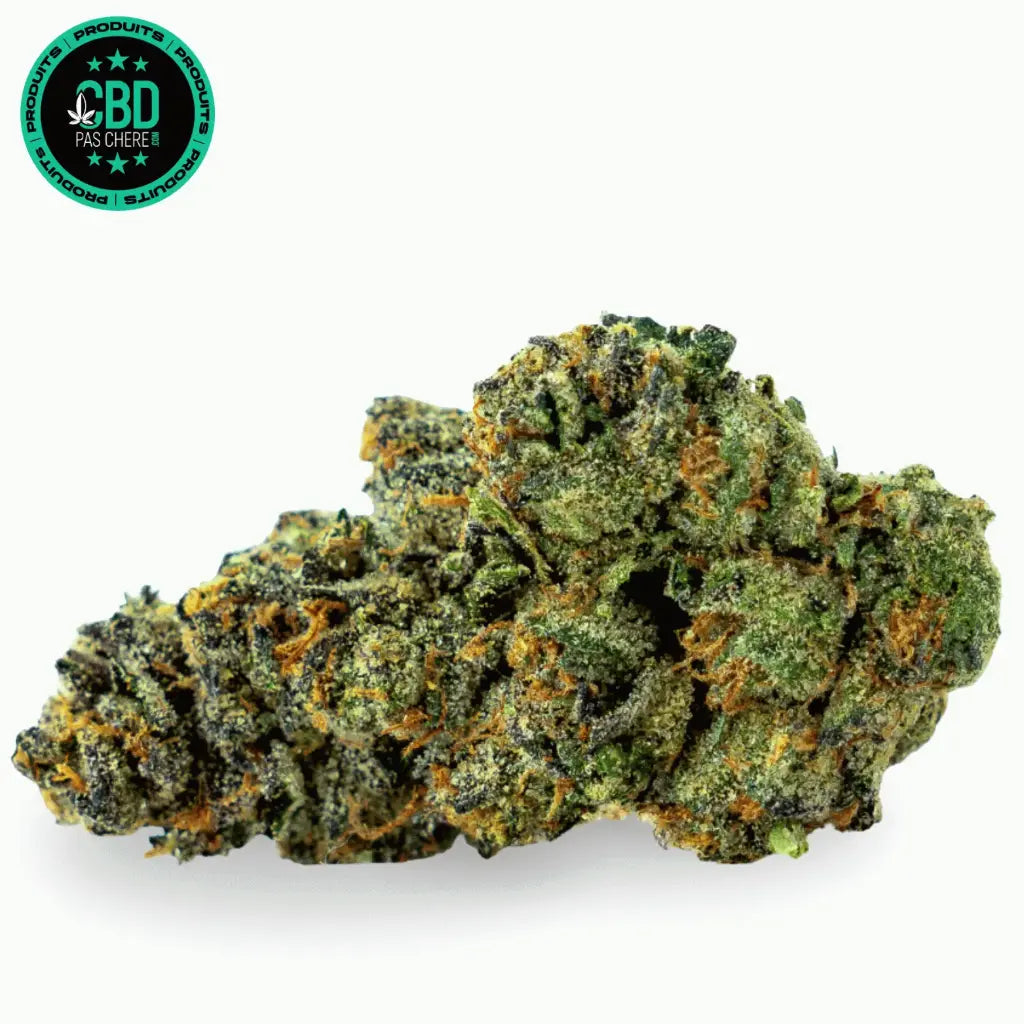 Orange Bud THV+