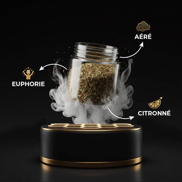 Trim Premium THV+