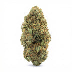 Banana Kush THV+