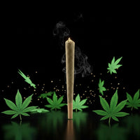 [00016574] Pre-roll Cannabis Cup D9