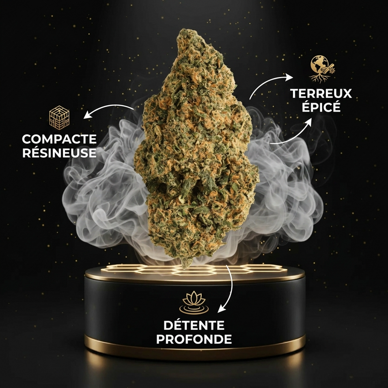 Amnesia THV+