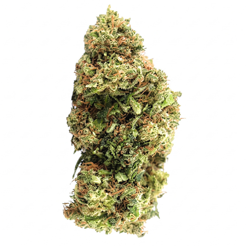 BLUE DREAM KUSH CBX
