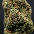 Blueberry Cookie's THV+