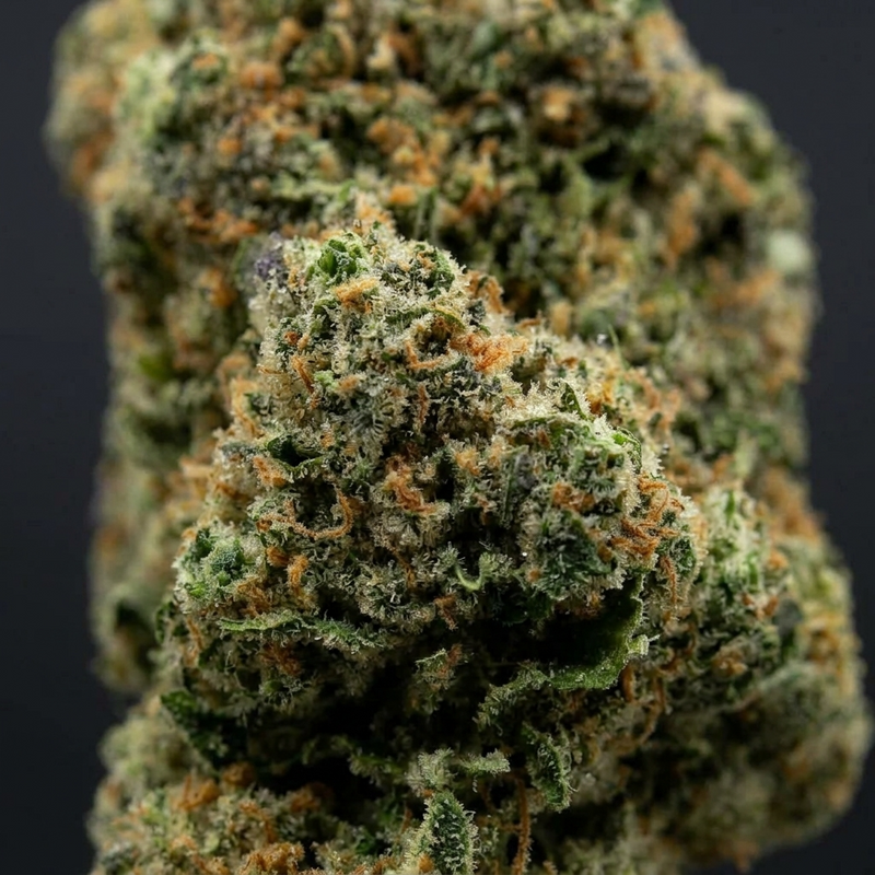 Blueberry Cookie's THV+