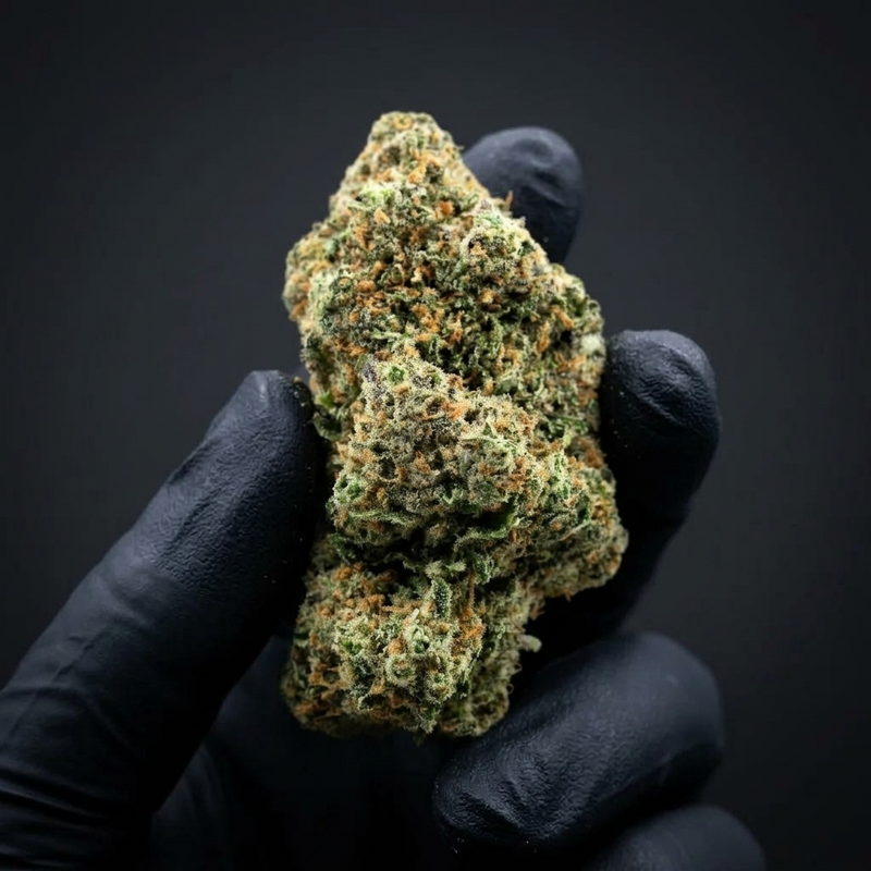Blueberry Cookie's THV+