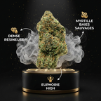 Blueberry Cookie's THV+