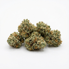 White Berry Small Bud THV+