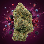 Blueberry Cookie's THV+