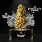 Orange Bud THV+