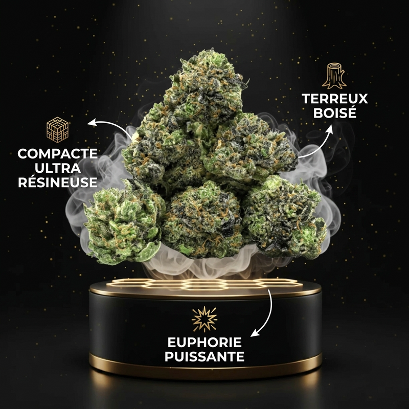 Pop Corn Gorilla Glue THV+