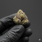 Pop Corn Gorilla Glue THV+