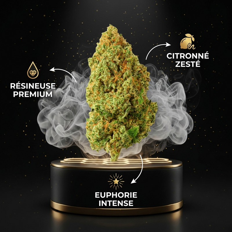 Sour Lemon THV+