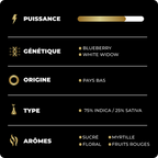 White Berry Small Bud THV+