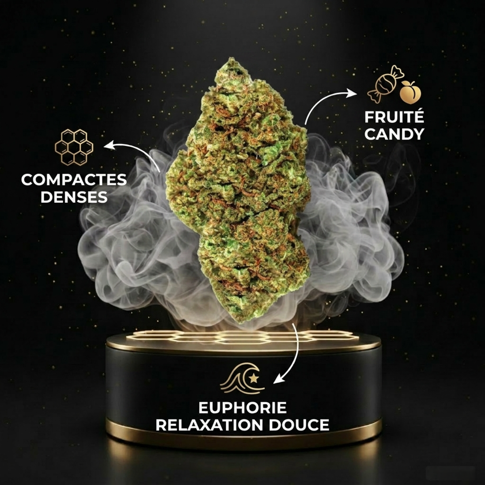 ZKITTLEZ 2.0 CBX