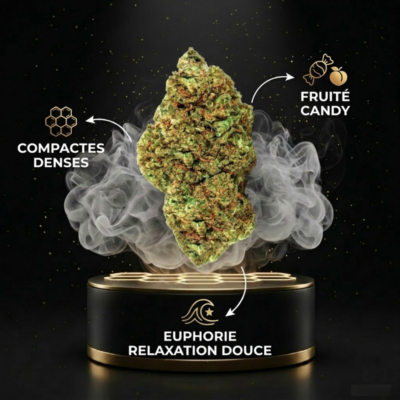 ZKITTLEZ 2.0 CBX