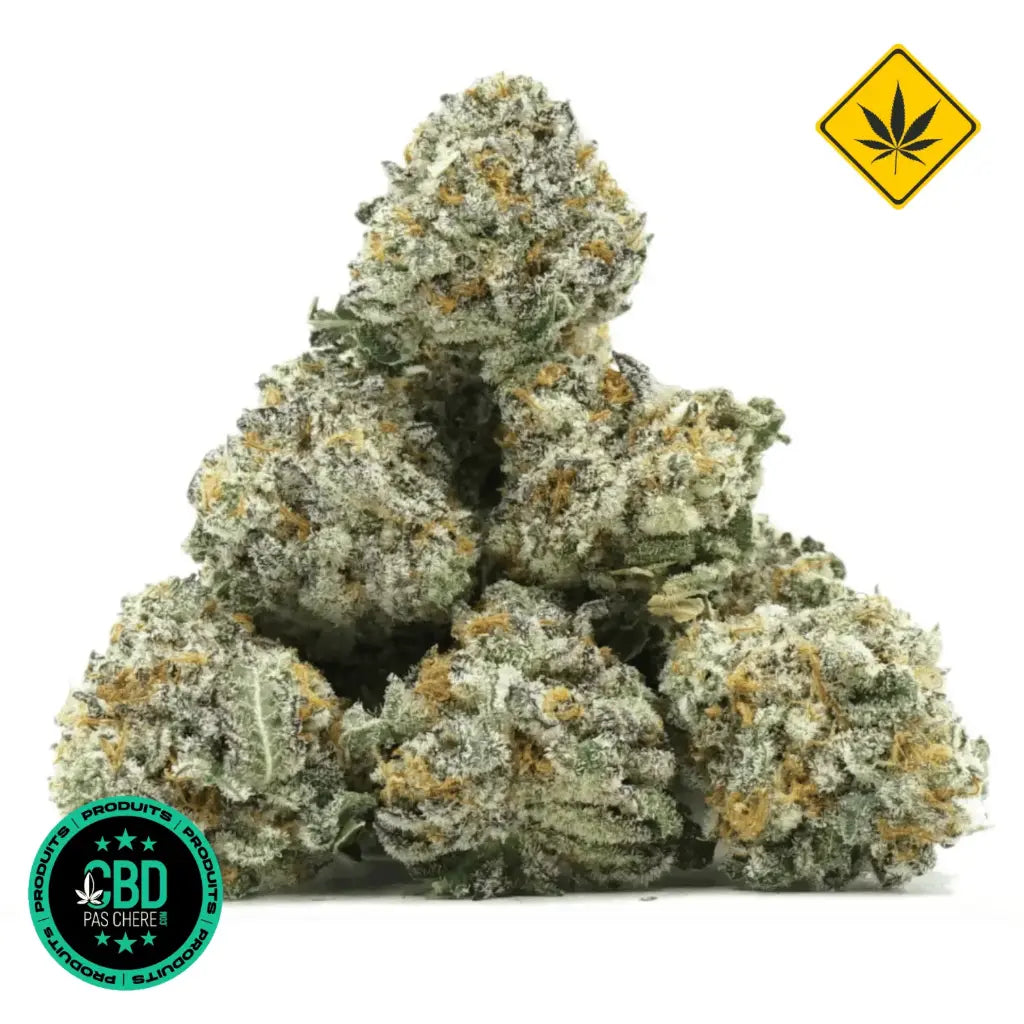 Strawberry Small Buds THV+