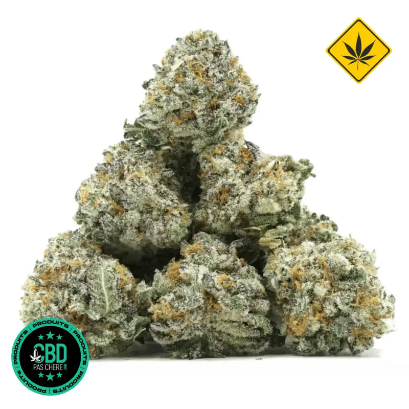 Strawberry Small Buds THV+