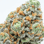 Sour Lemon THV+