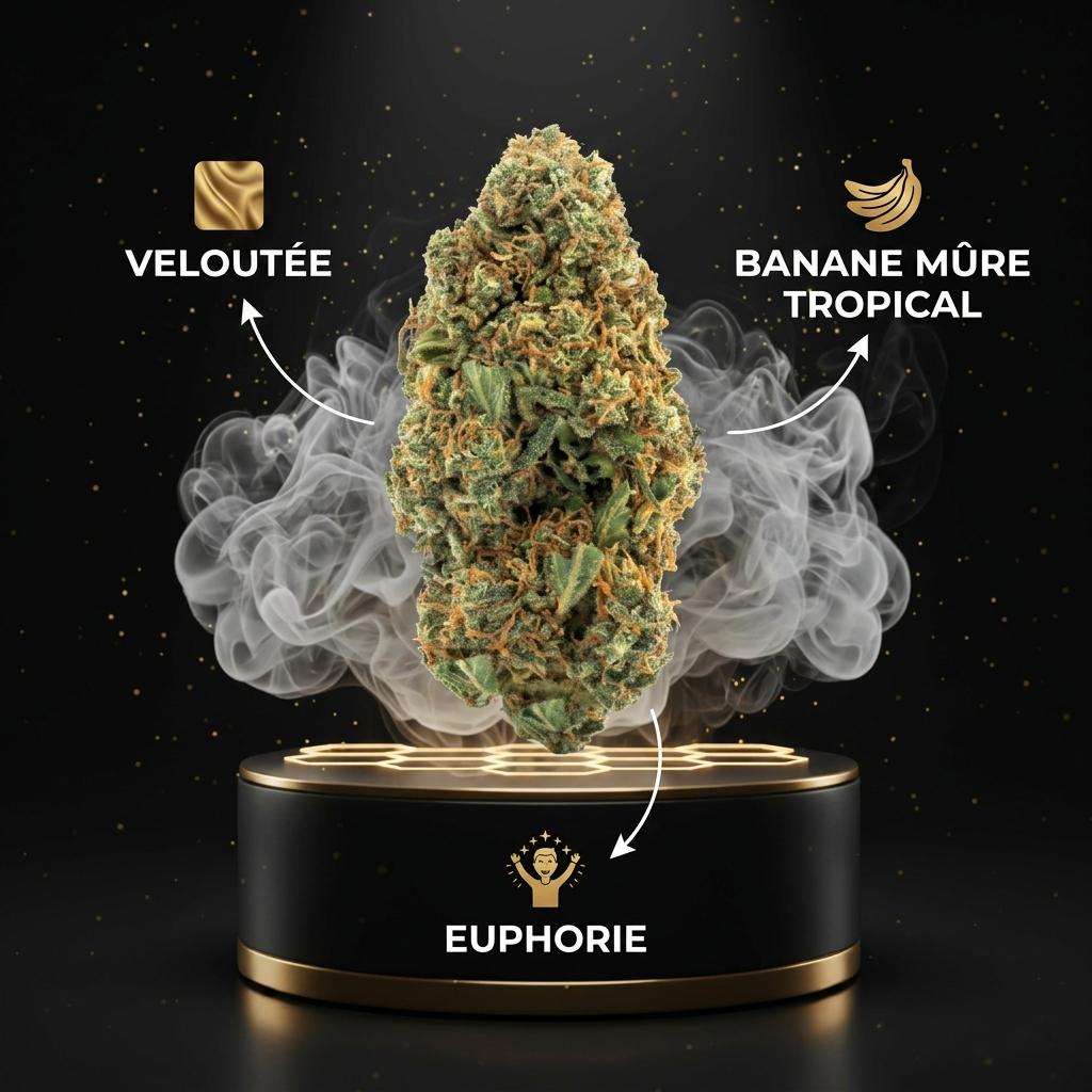 Banana Kush THV+