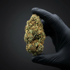 Banana Kush THV+