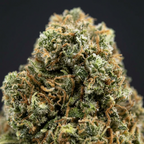 Banana Kush THV+