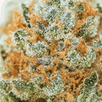 Strawberry Small Buds THV+