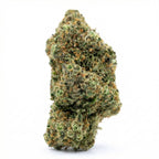 Blueberry Cookie's THV+