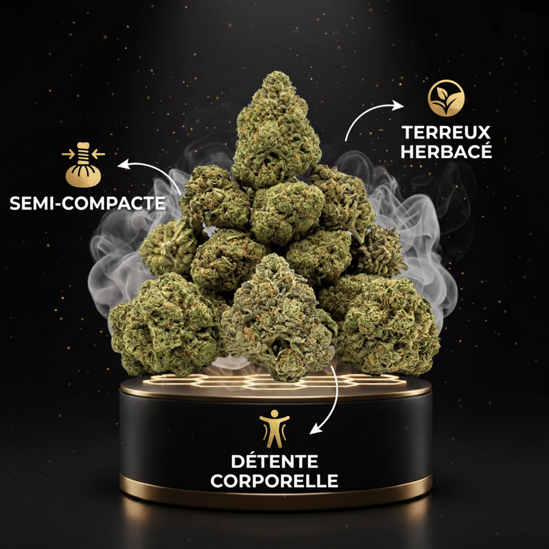 MIX BUDS GREENHOUSE THV+