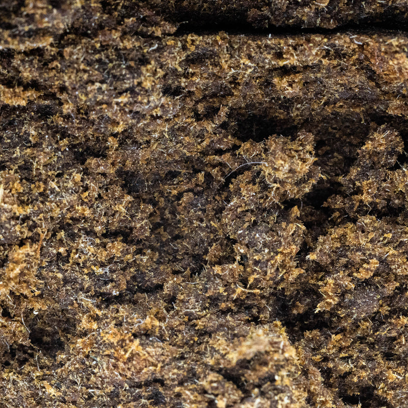 Super Lemon Hash THV+