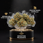 White Berry Small Bud THV+